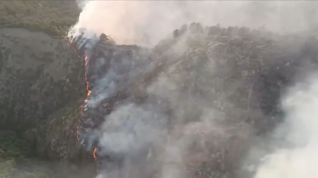 山西交城一林场发生山火 明火已经扑灭